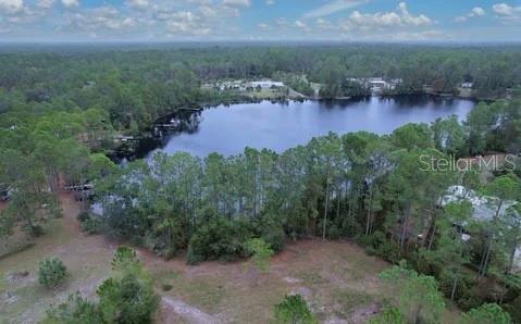 116 Osceola Road Georgetown, FL 32139 - Photo 10 of 16 an aerial view of residential houses with outdoor space and trees