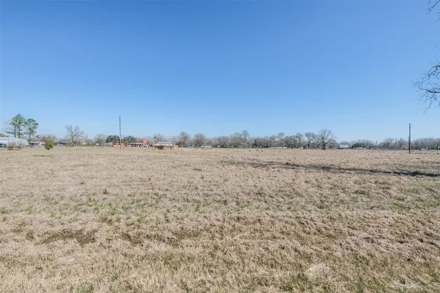 a view of a dry yard