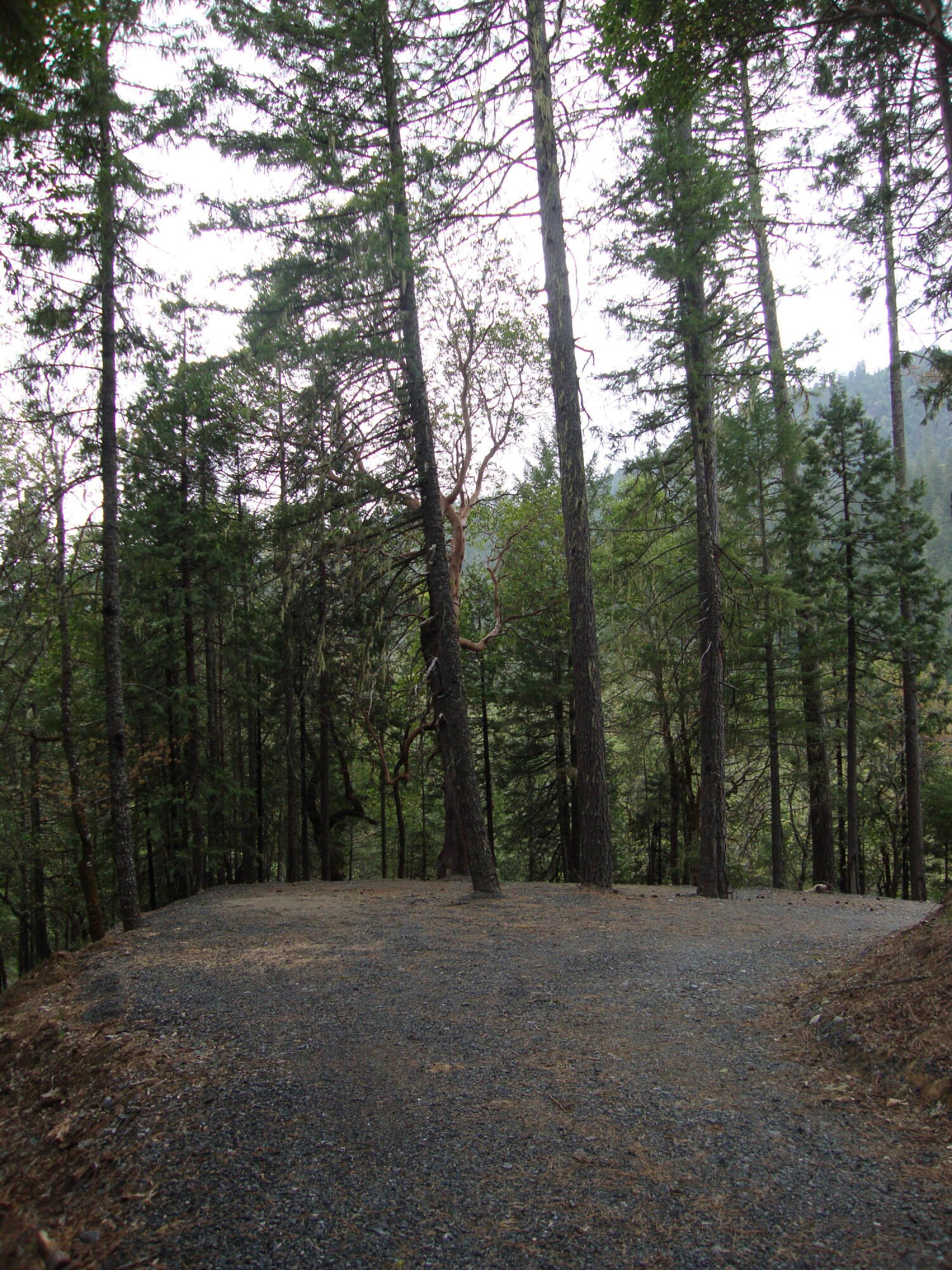 36510 Ditch Creek Road Rogue River, OR 97537 - Photo 12 of 17 DSC03663