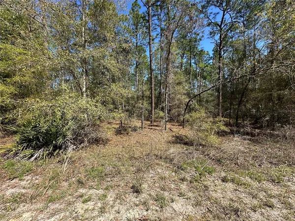 $38,900 | Tbd Southwest 29th Street, Ocala, FL 34481