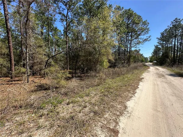 $38,900 | Tbd Southwest 29th Street, Ocala, FL 34481