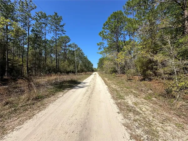 $38,900 | Tbd Southwest 29th Street, Ocala, FL 34481