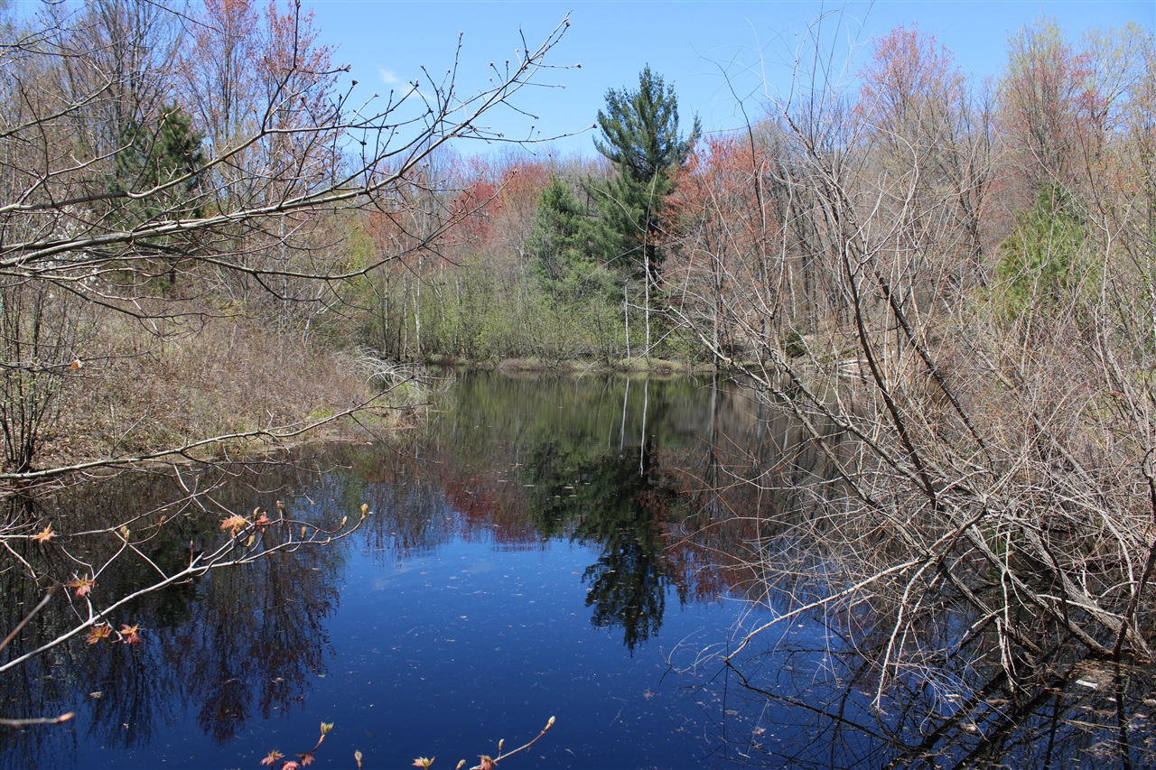 11401 Little George Lake Road Gladwin, MI 48624 - Photo 44 of 72