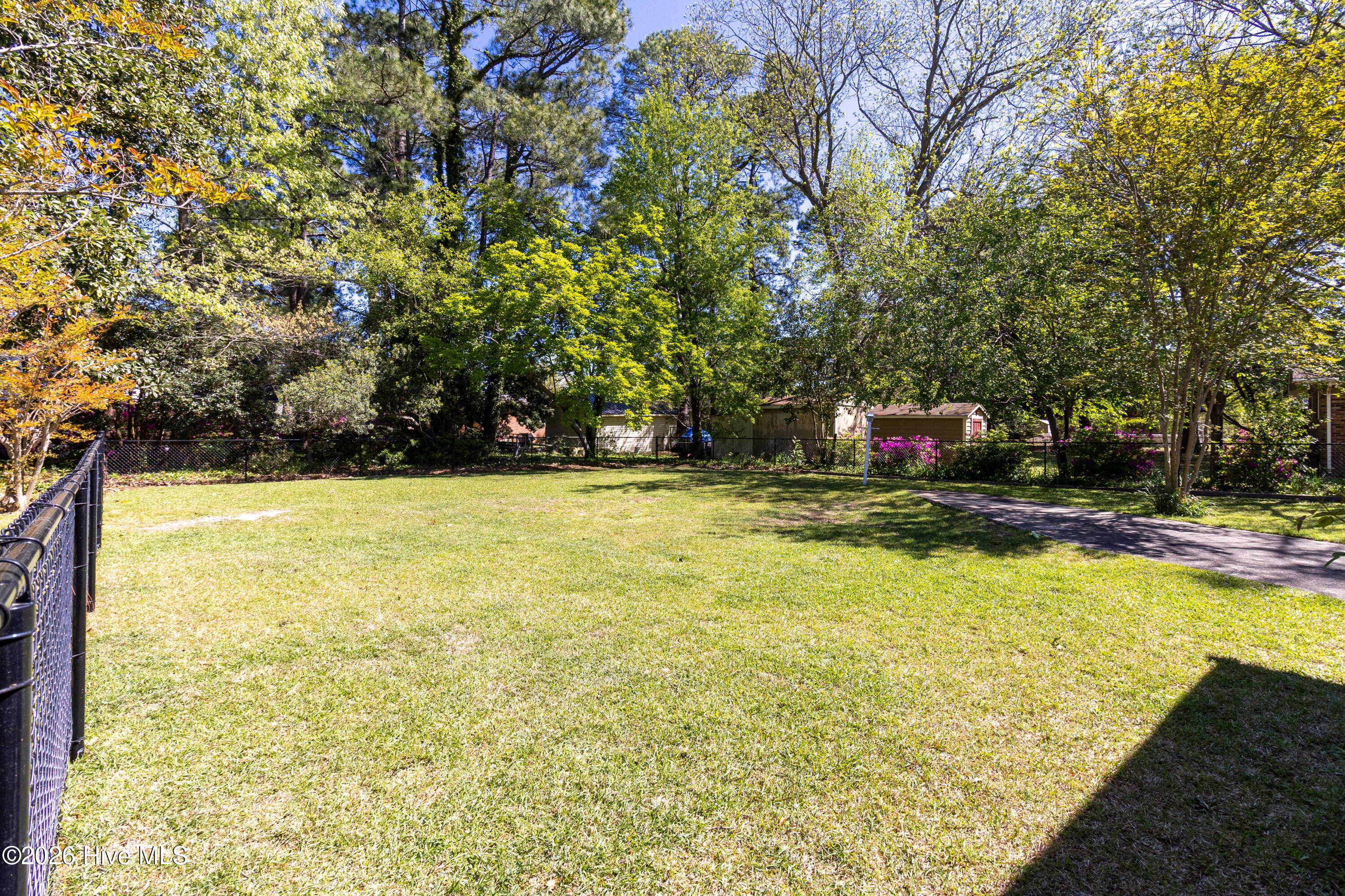 212 Robin Lane Edenton, NC 27932 - Photo 36 of 43 Back yard view