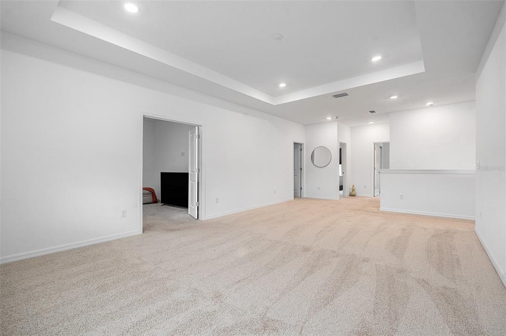 33774 Castaway Loop Wesley Chapel, FL 33543 - Photo 47 of 87