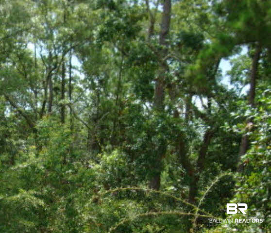0 Niblick Loop Fairhope, AL 36532 - Photo 1 of 1