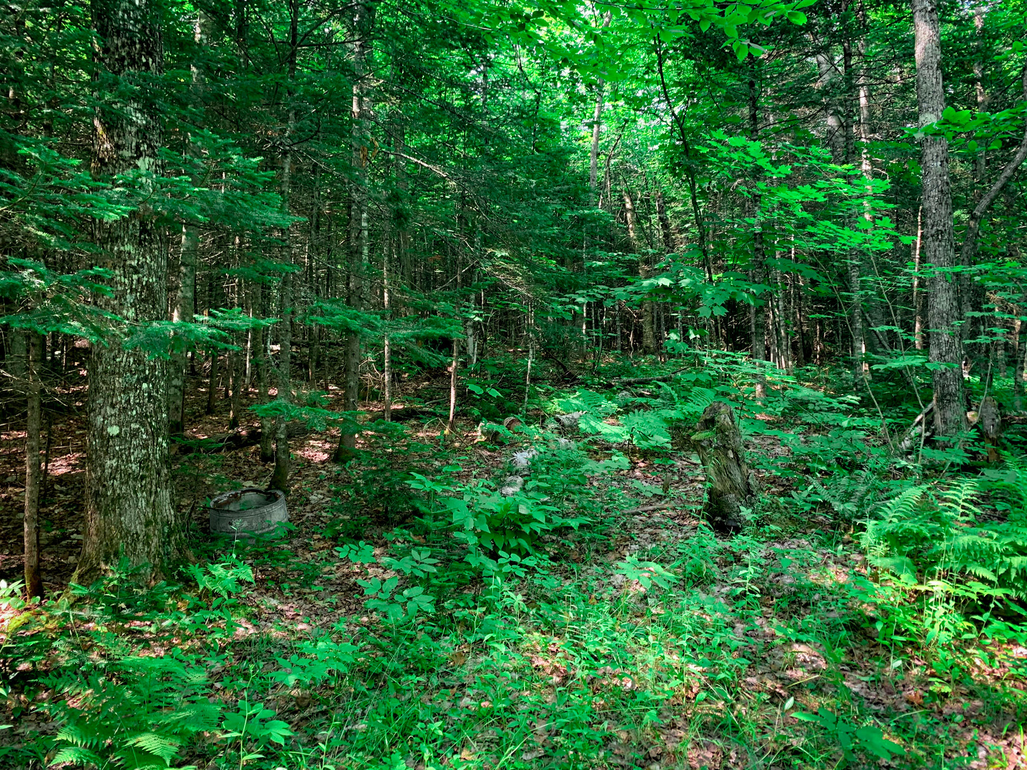156 Winter Hill Road Carthage, ME 04224 - Photo 25 of 35 c5b