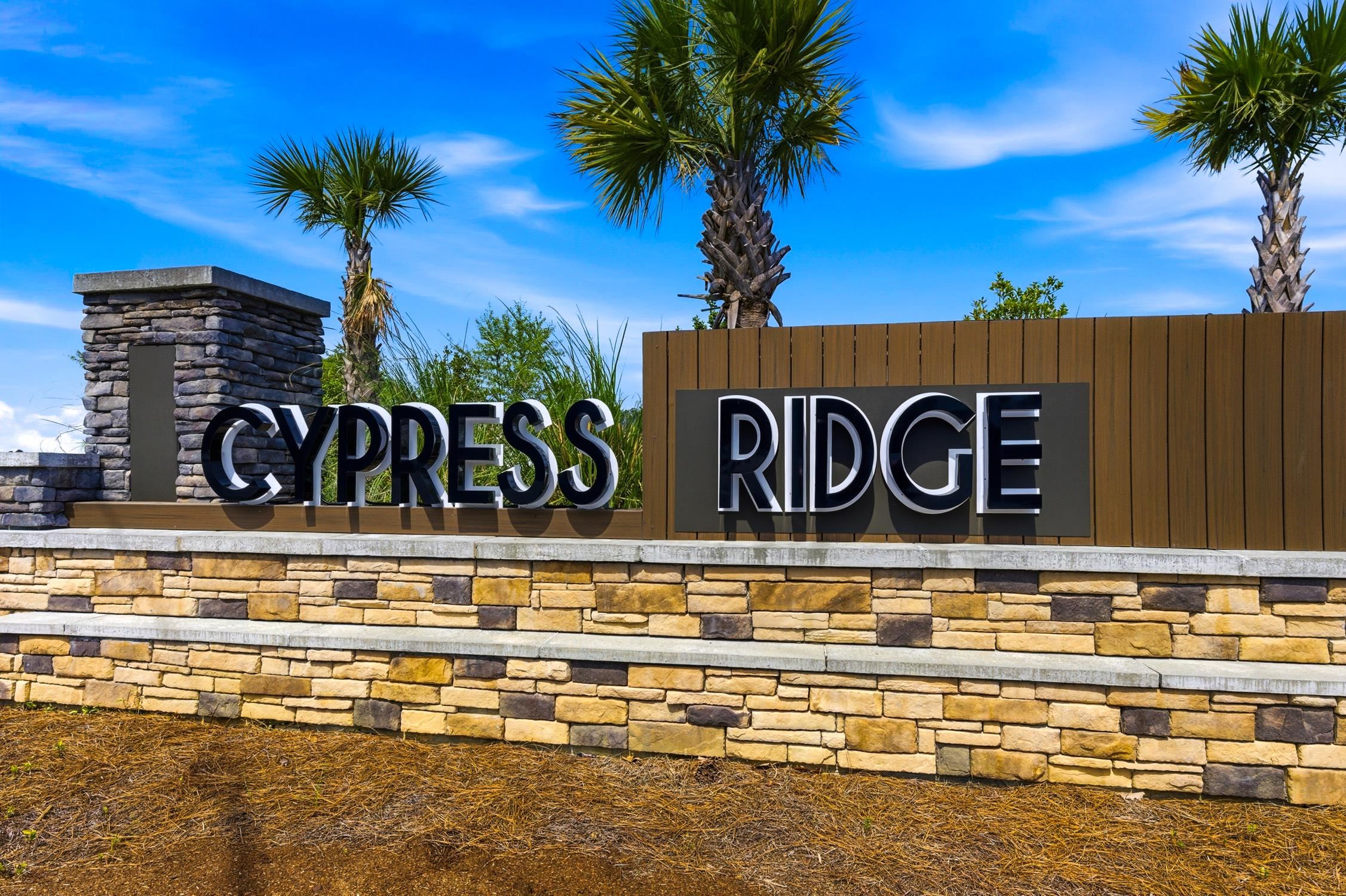 1113 Lauryn Oak Loop Longs, SC 29568 - Photo 41 of 41