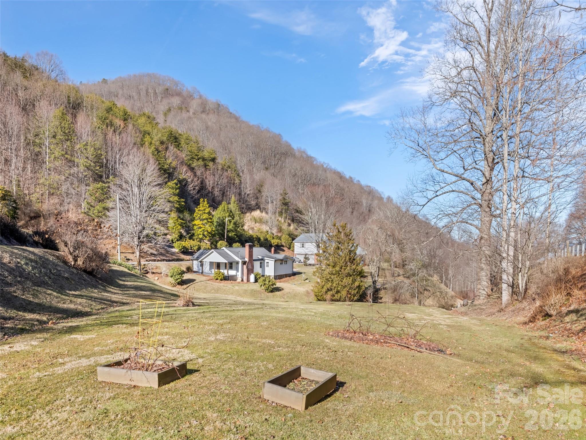 9 Whitted Road Canton, NC 28716 - Photo 6 of 24 a view of road with large trees