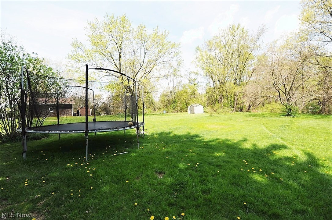 3925 Johnson Road Norton, OH 44203 - Photo 24 of 25 Back Yard!