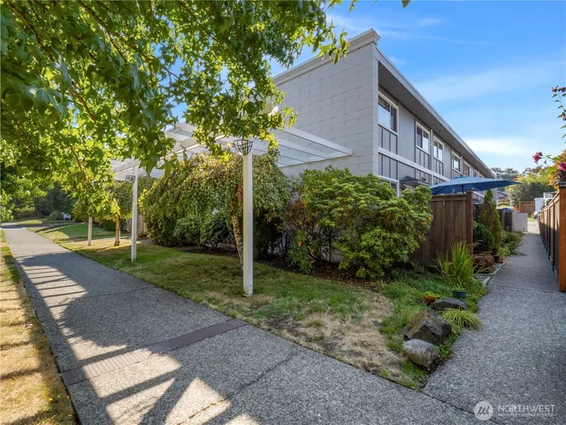 a backyard of a house with plants and large tree