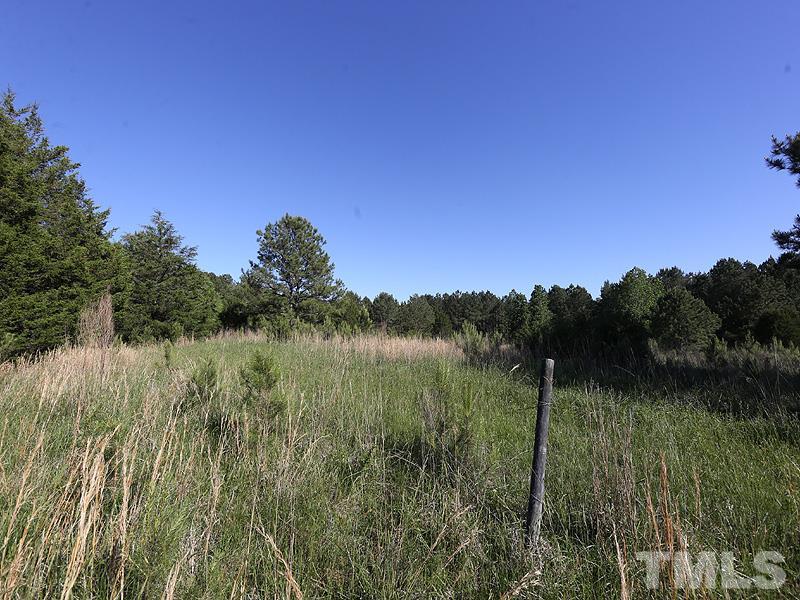 0 J A Rogers Road Kittrell, NC 27544 - Photo 6 of 10 Gallery Image 6
