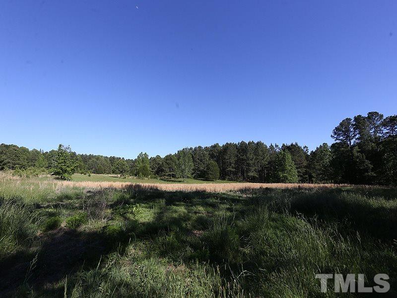 0 J A Rogers Road Kittrell, NC 27544 - Photo 7 of 10 Gallery Image 7