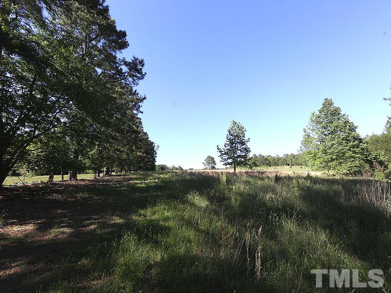 0 J A Rogers Road Kittrell, NC 27544 - Photo 8 of 10 Gallery Image 8