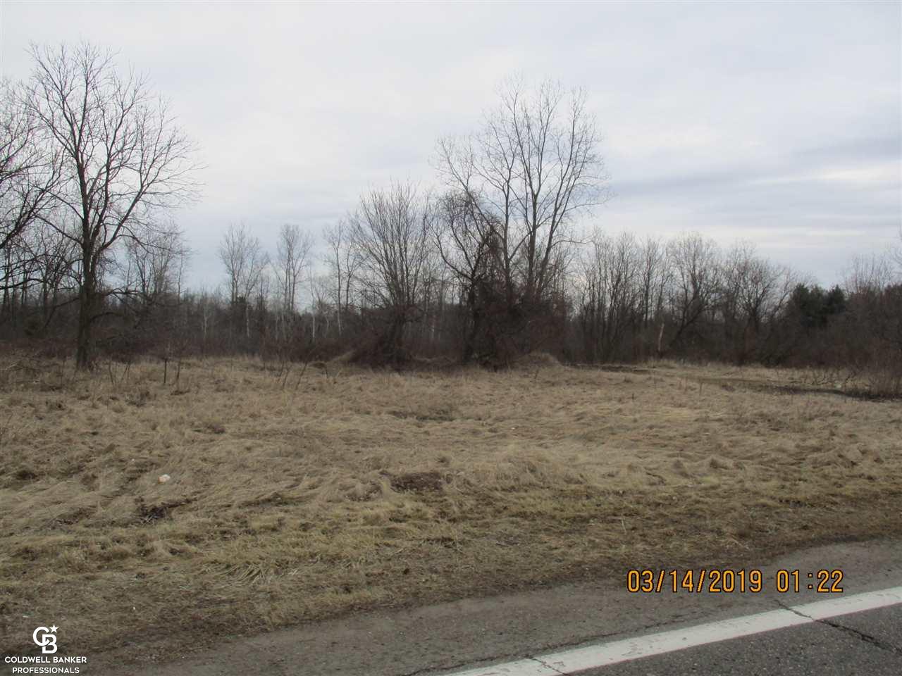 0 Armada Ridge B7 Road Richmond, MI 48062 - Photo 2 of 5