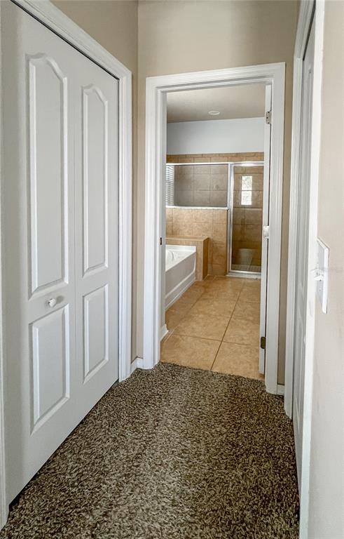 6906 Boulder Run Loop Wesley Chapel, FL 33545 - Photo 17 of 53