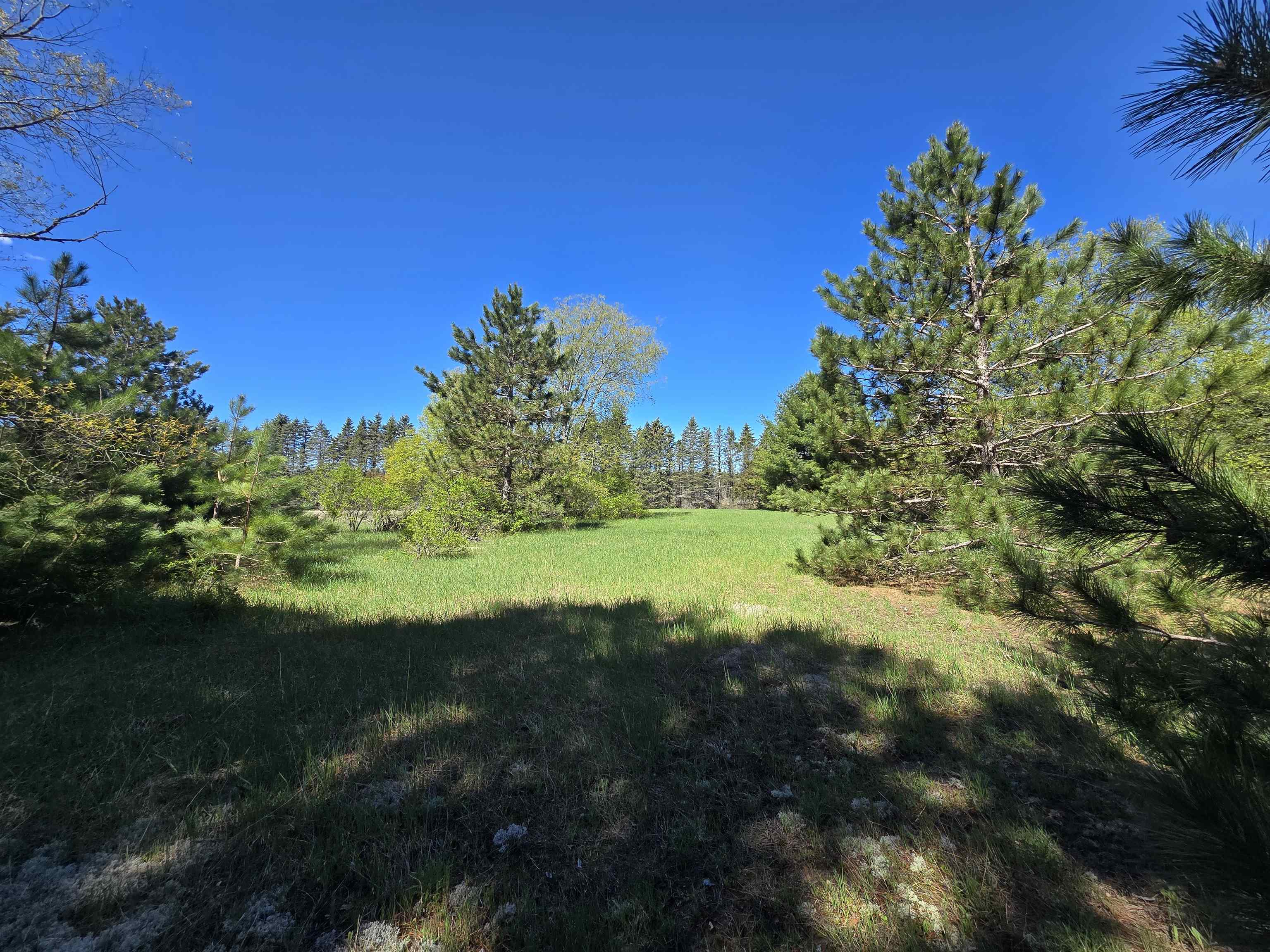 0 North 3 Road Mesick, MI 49668 - Photo 4 of 6