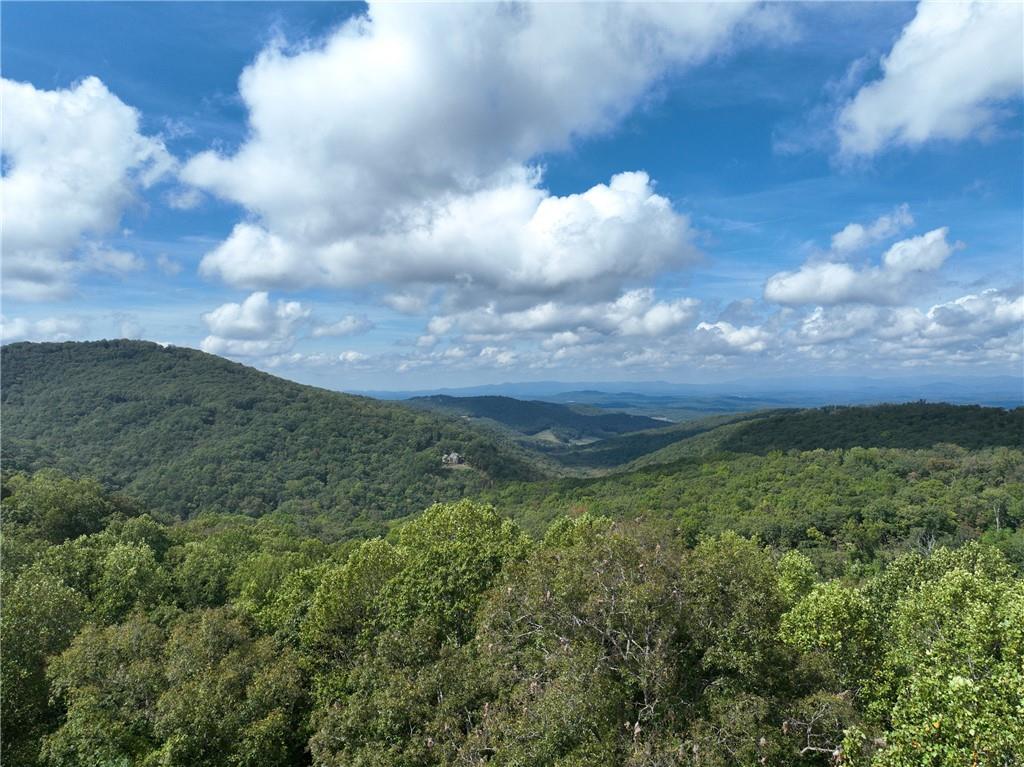 7 R Mountain Falls Loop Ellijay, GA 30536 - Photo 7 of 18 Gallery Image 7