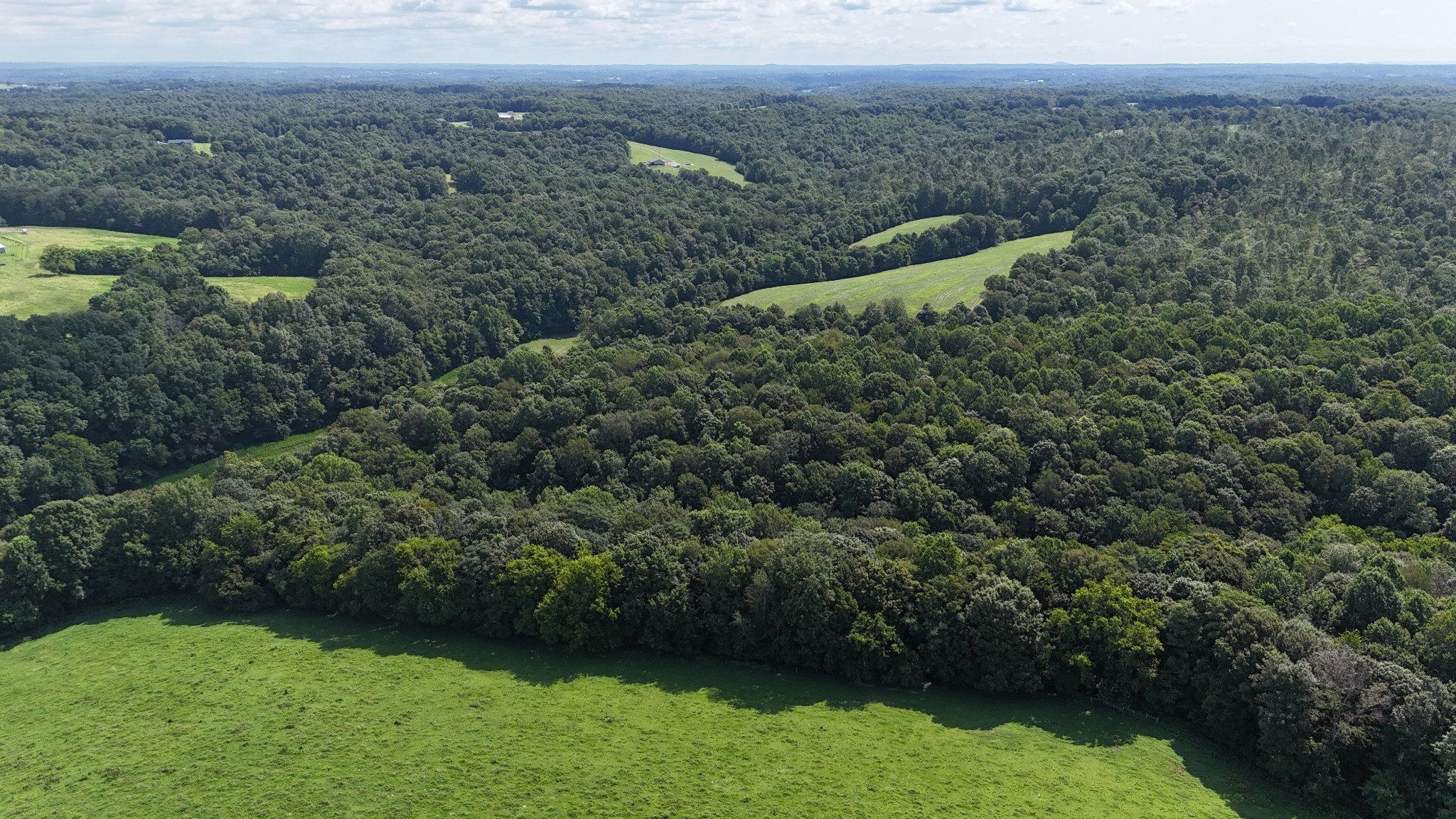 0 Taurus Farm Road Lafayette, TN 37083 - Photo 15 of 67