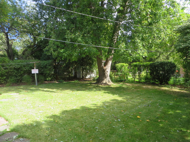 39 North 5th Avenue Des Plaines, IL 60016 - Photo 24 of 24