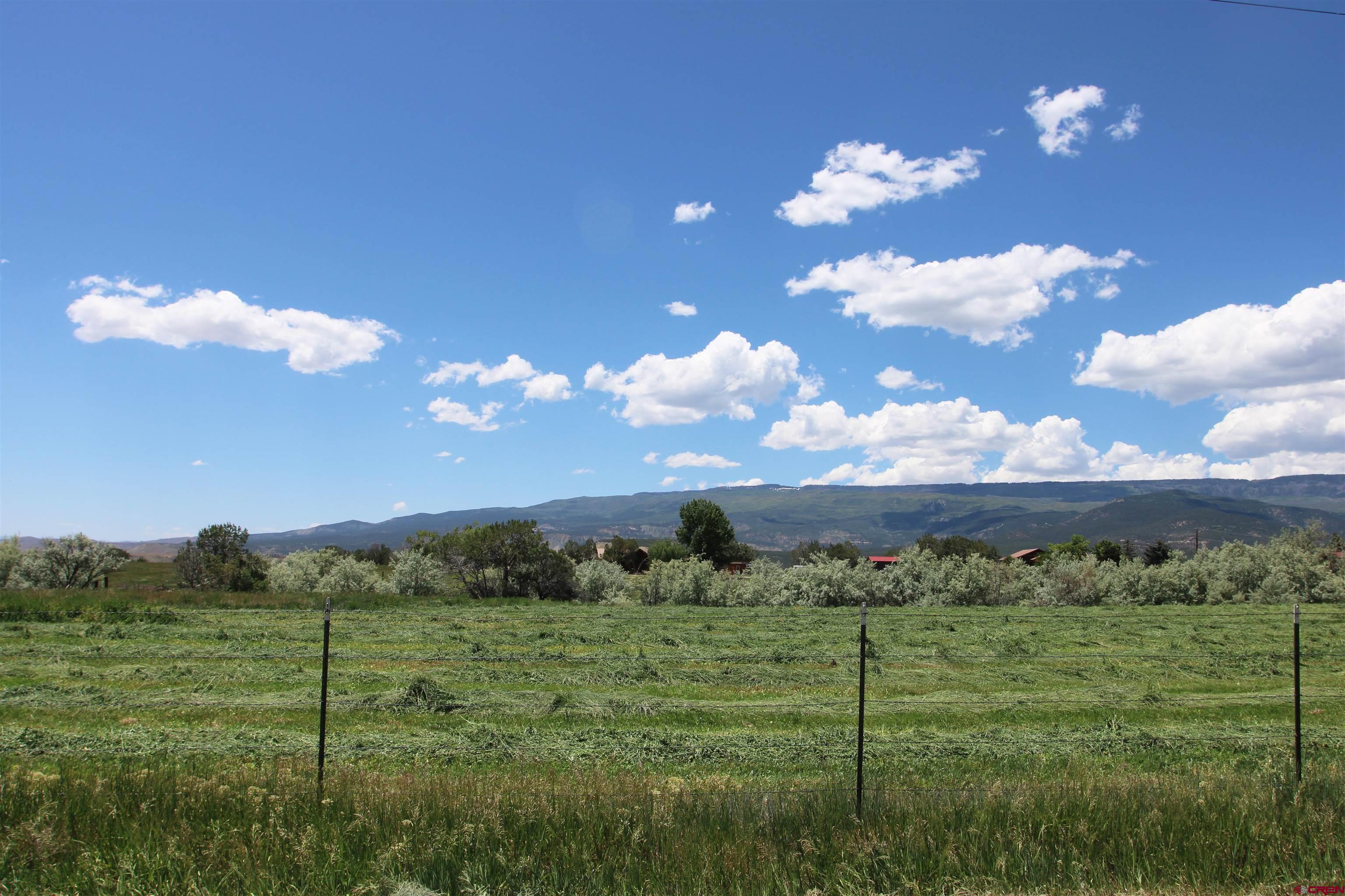 15967 Bull Mesa Road Cedaredge, CO 81413 - Photo 3 of 32 Gallery Image 3