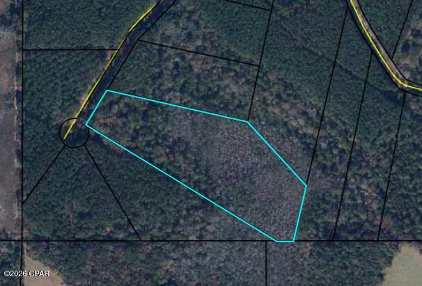 0 Reedy Creek Crossing Westville, FL 32464 - Photo 1 of 1