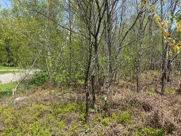 $17,900 | Crestview Drive, Cadillac, MI 49601