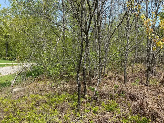 $17,900 | Crestview Drive, Cadillac, MI 49601