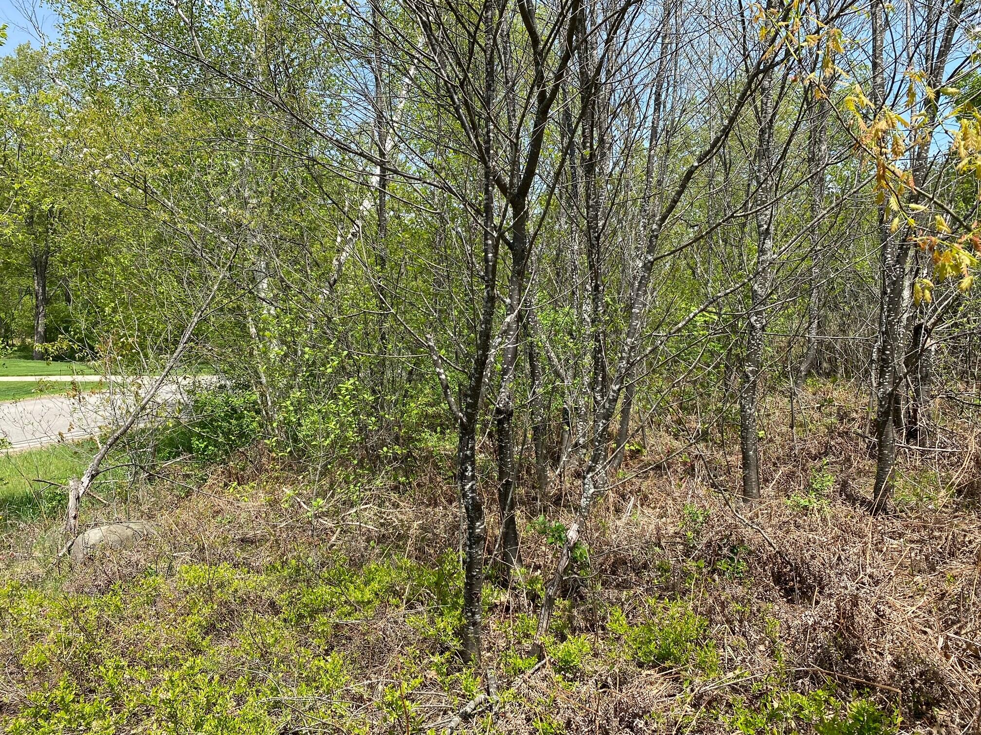 Crestview Drive Cadillac, MI 49601 - Photo 1 of 16 7