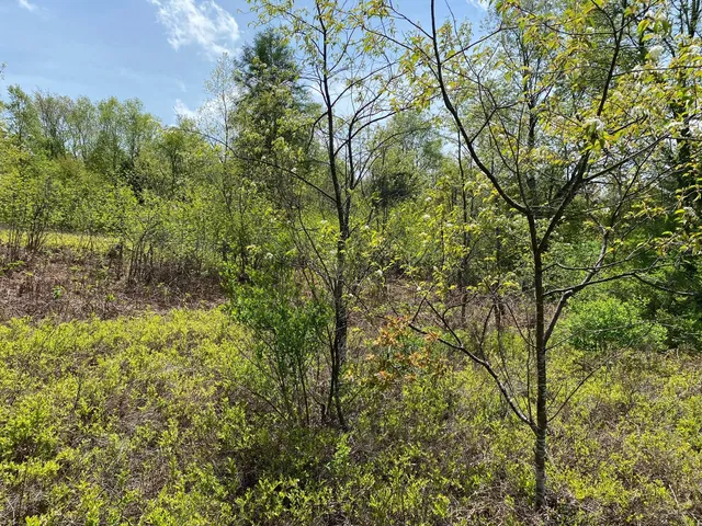 $17,900 | Crestview Drive, Cadillac, MI 49601