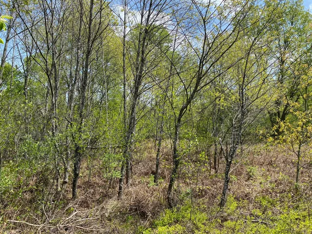 $17,900 | Crestview Drive, Cadillac, MI 49601