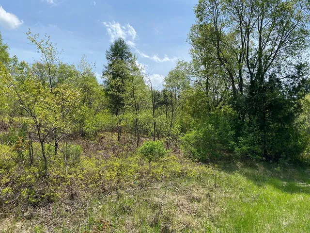 $17,900 | Crestview Drive, Cadillac, MI 49601