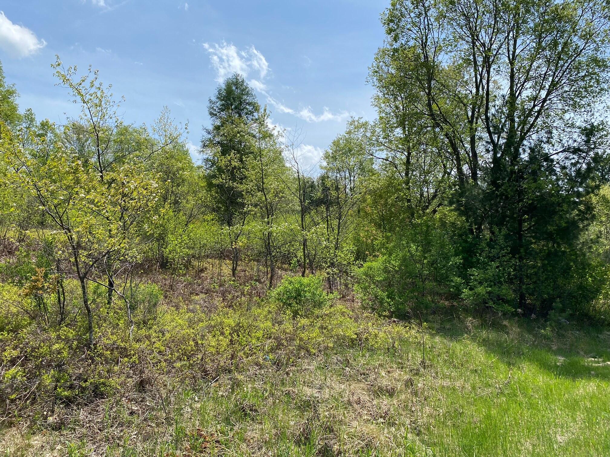 Crestview Drive Cadillac, MI 49601 - Photo 14 of 16 15