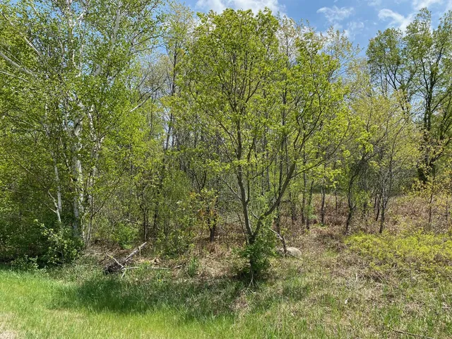 $17,900 | Crestview Drive, Cadillac, MI 49601