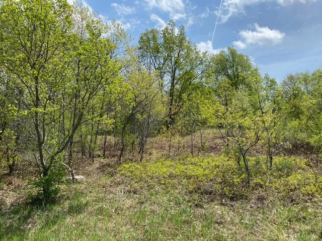 $17,900 | Crestview Drive, Cadillac, MI 49601