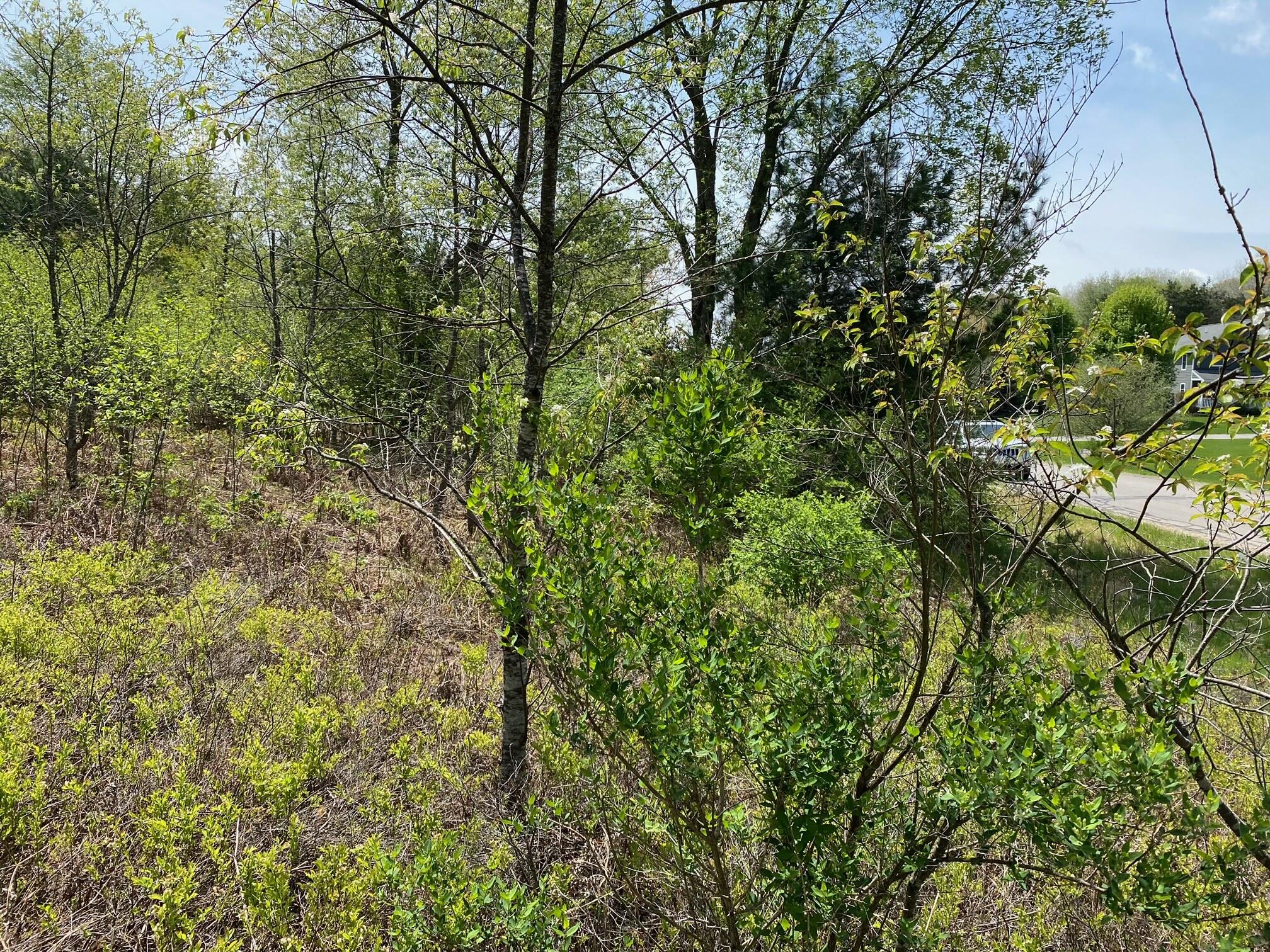 Crestview Drive Cadillac, MI 49601 - Photo 2 of 16 9