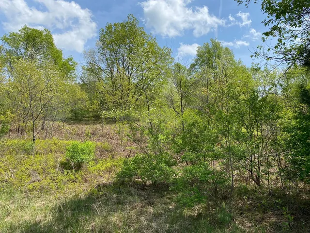 $17,900 | Crestview Drive, Cadillac, MI 49601