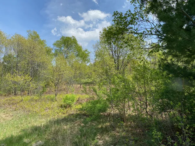 $17,900 | Crestview Drive, Cadillac, MI 49601