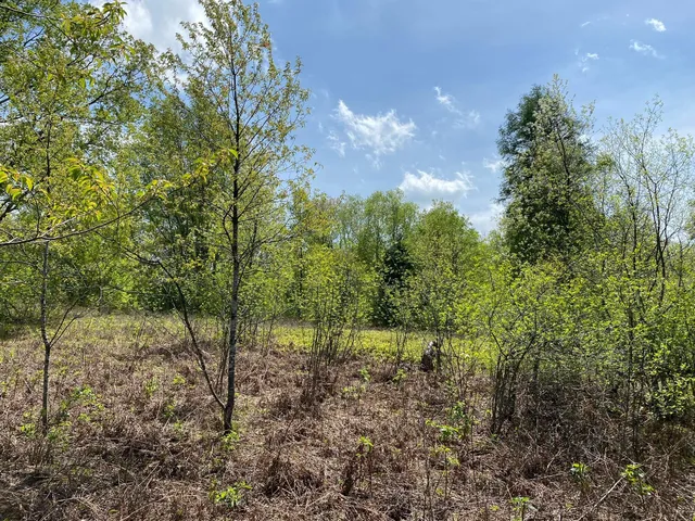 $17,900 | Crestview Drive, Cadillac, MI 49601