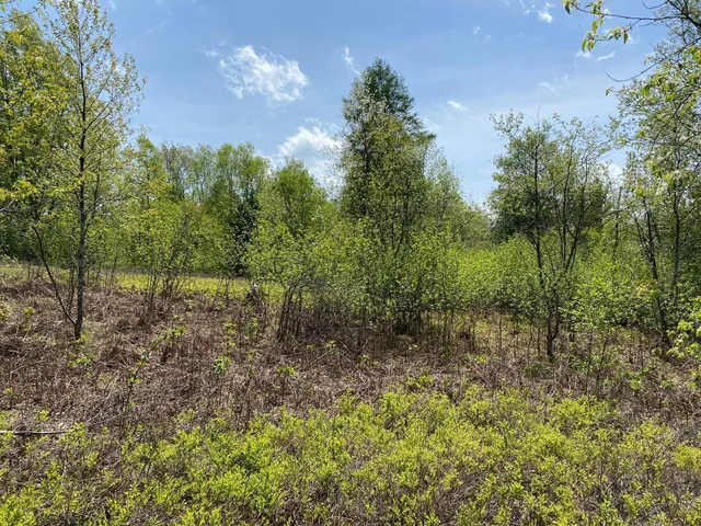 $17,900 | Crestview Drive, Cadillac, MI 49601