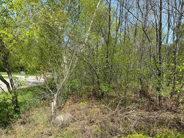 $17,900 | Crestview Drive, Cadillac, MI 49601