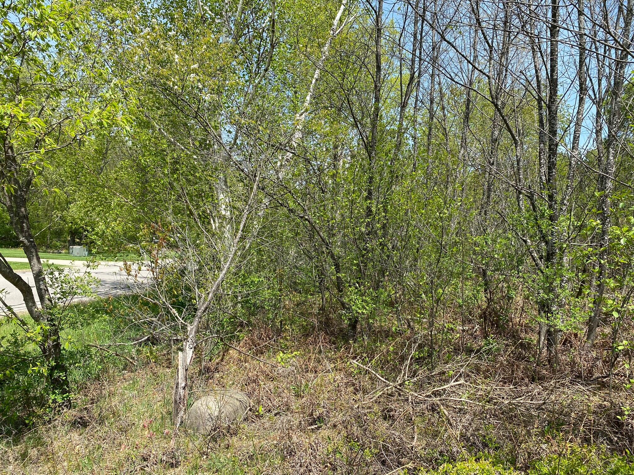 Crestview Drive Cadillac, MI 49601 - Photo 10 of 16 11