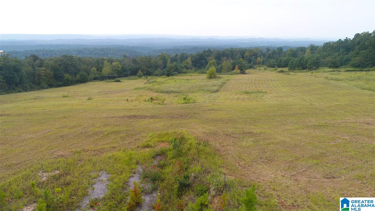 885 Hitching Post Lane, Unit 20 ACRES Birmingham, AL 35210 - Photo 12 of 16
