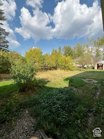 108 South Road Montpelier, ID 83254 - Photo 25 of 36 View of grassy yard