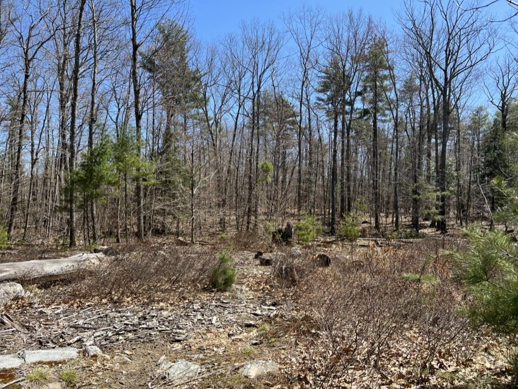 3 Aloma Road Wakefield, NH 03830 - Photo 4 of 8