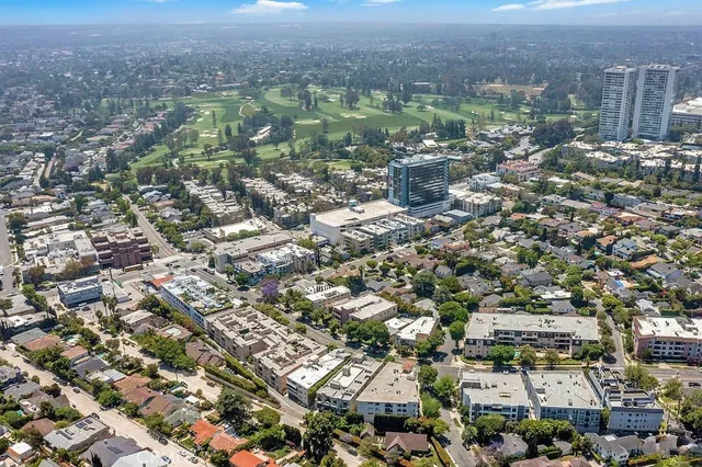 an aerial view of residential houses with city view