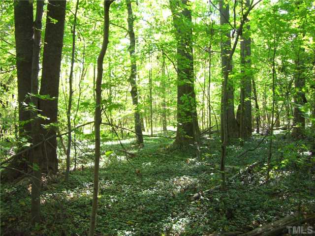 0 John Winstead, Unit NA Roxboro, NC 27573 - Photo 4 of 6 a backyard of a house with lots of green space