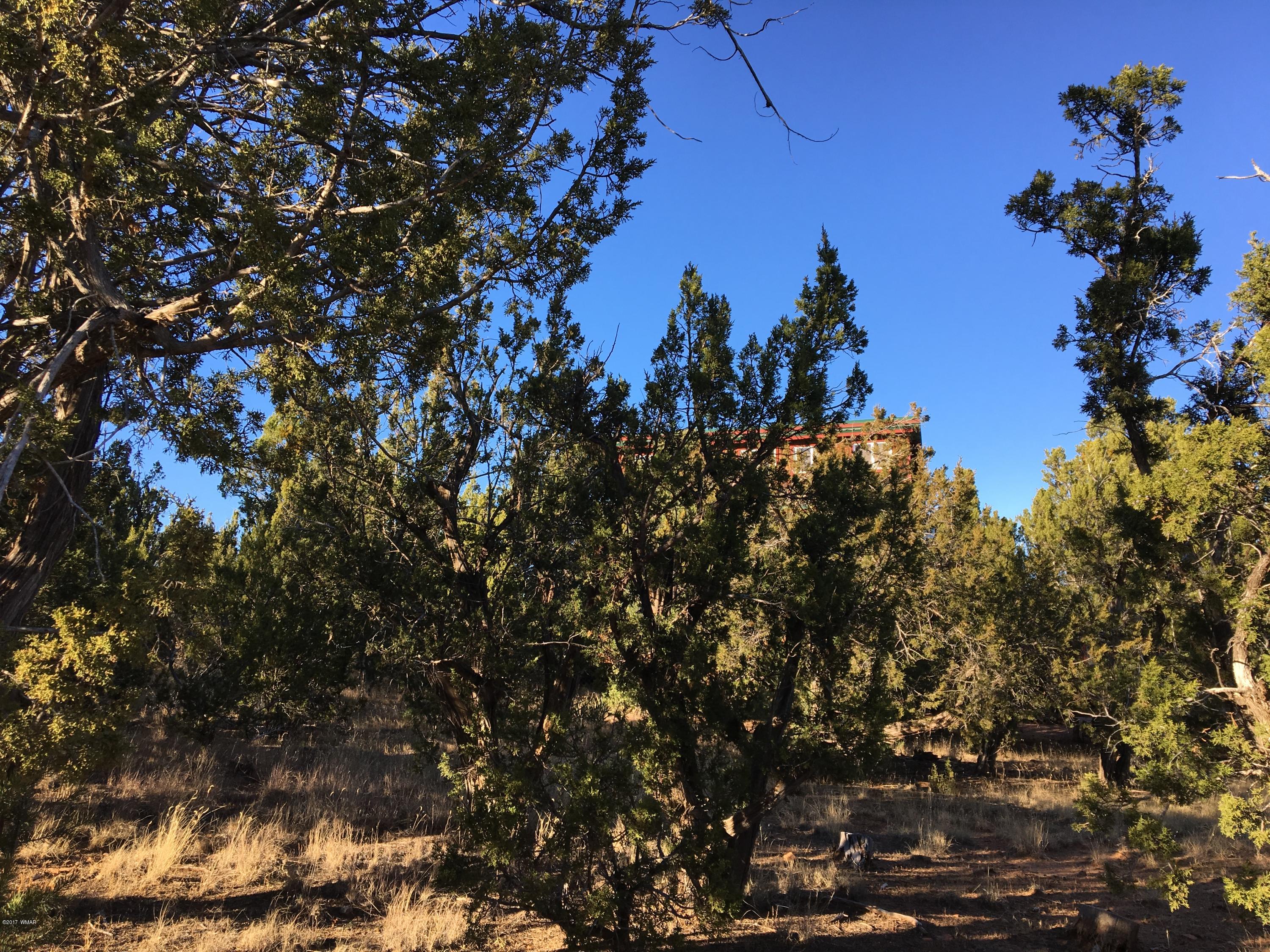 3410 Beaufeaux Road Overgaard, AZ 85933 - Photo 2 of 32 a view of a tree