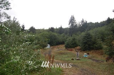 239 Monohon Landing Road Raymond, WA 98577 - Photo 1 of 1 Gallery Image 1