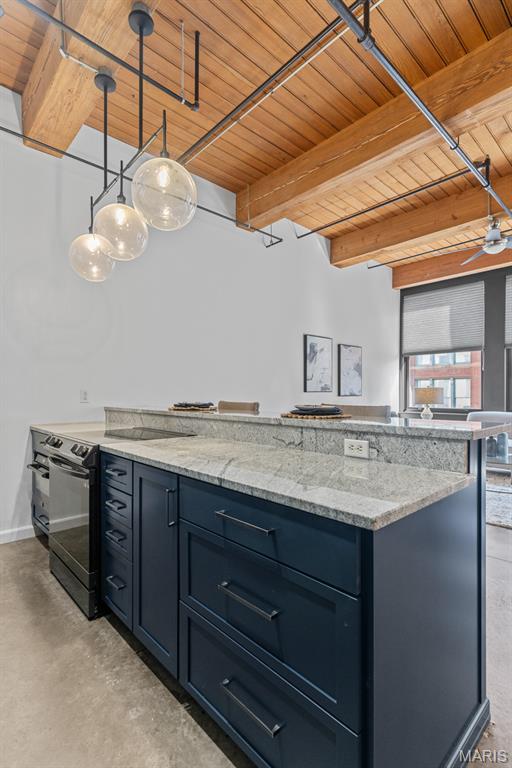 1015 Washington Avenue, Unit 501 St. Louis, MO 63101 - Photo 16 of 48